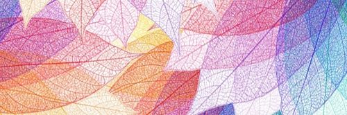 xiklitho's profile banner image