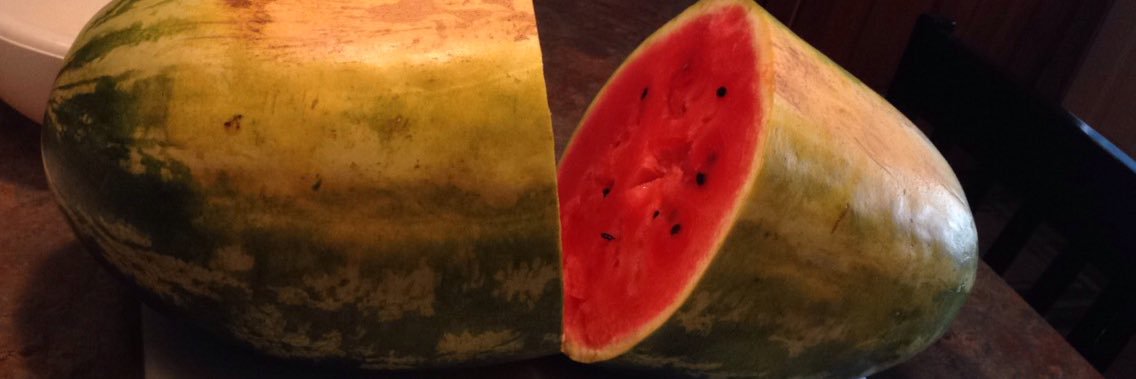 Jules_Rules_'s profile banner image