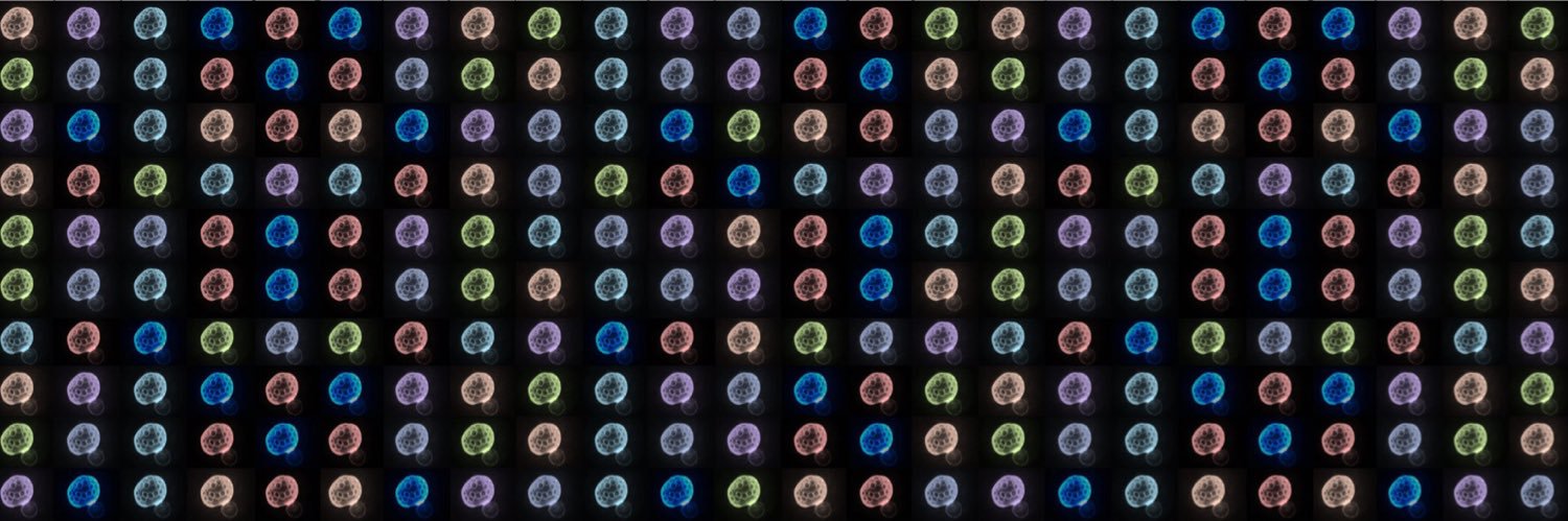 Saarikangas lab's banner