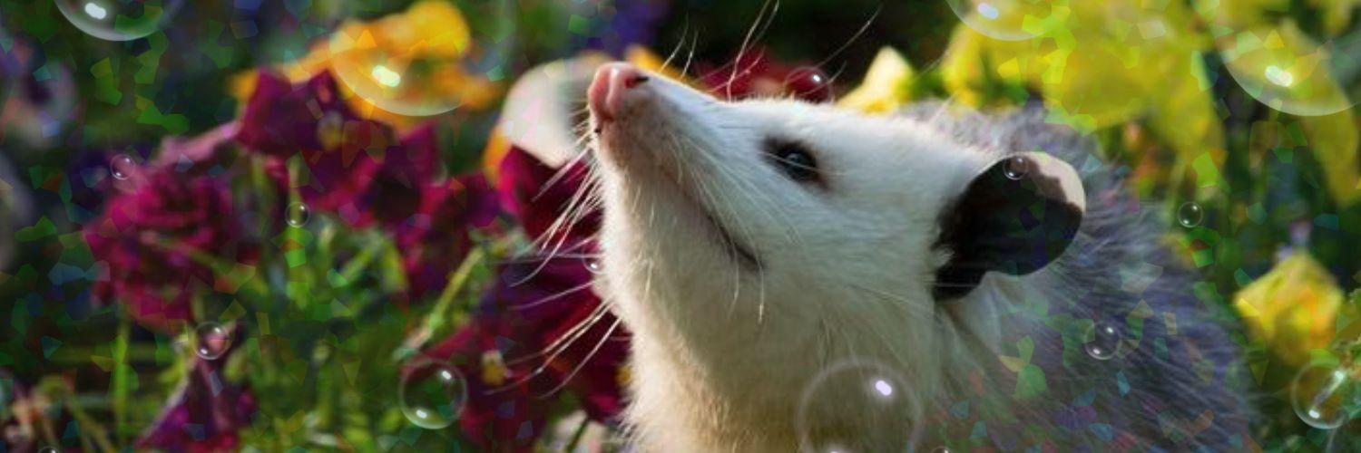 PossumTots's profile banner image