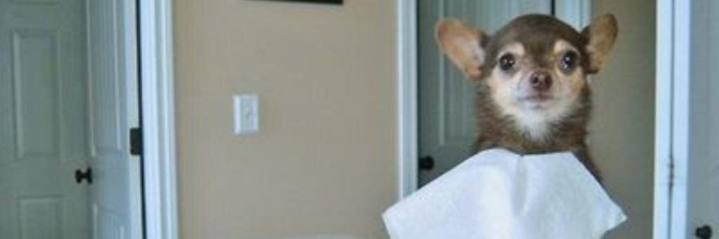 PBnJuliee's profile banner image