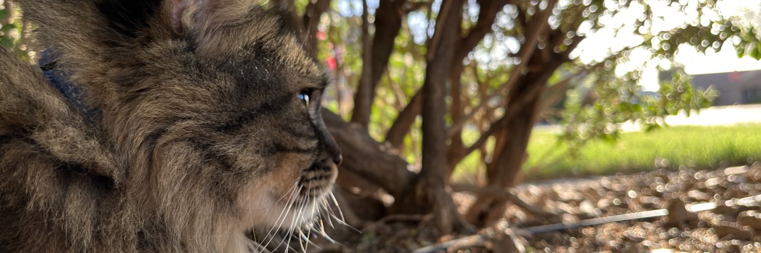 Kim Edwards 🇮🇱 banner