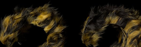 _ShoHey_ Profile Banner