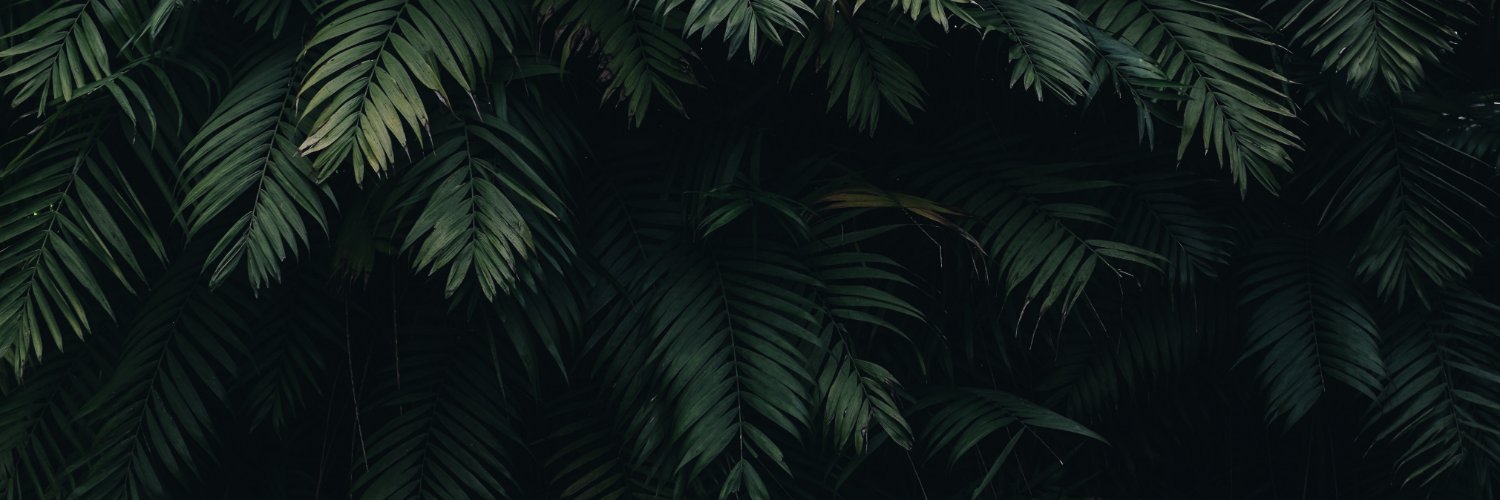 xClapzy banner