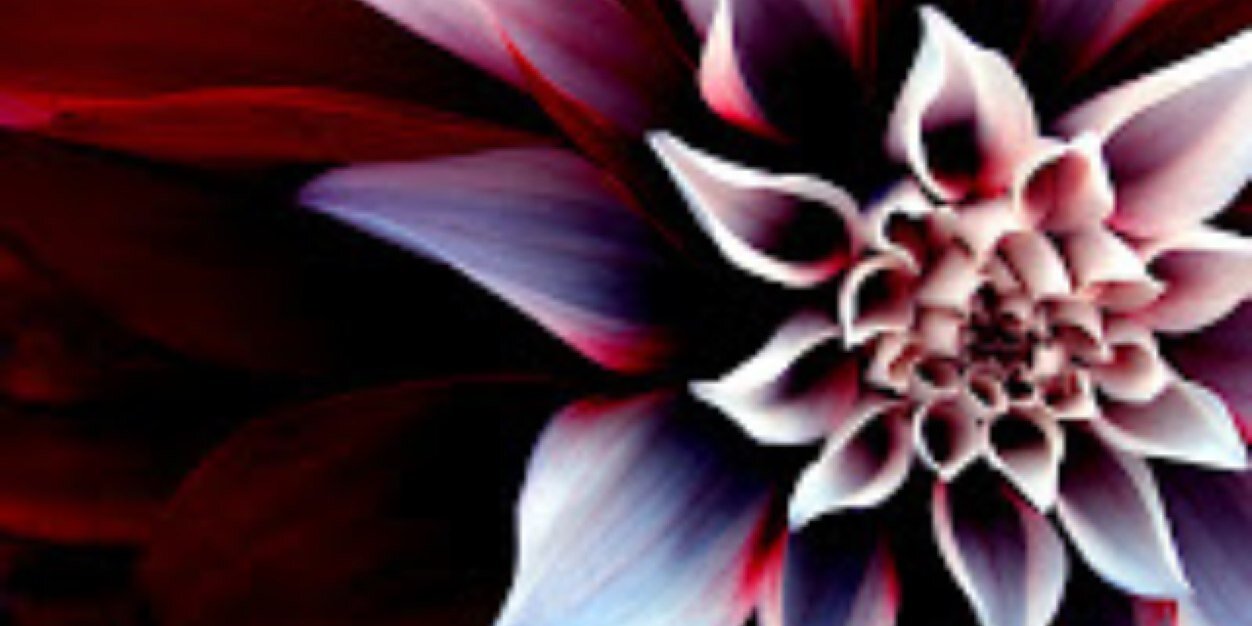 JessicaHaizman's profile banner image