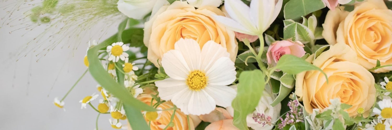 mayapr8's profile banner image