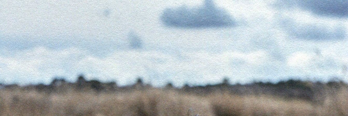 devitaqr's profile banner image
