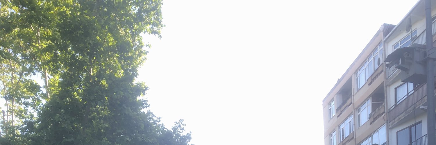 Dizzyado's profile banner image