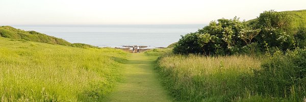 S_Wordsmith Profile Banner