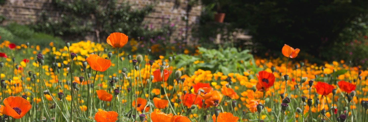 Enfield Connections banner