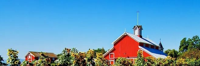 yyk569's profile banner image