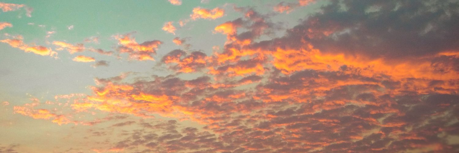 safeflightya's profile banner image