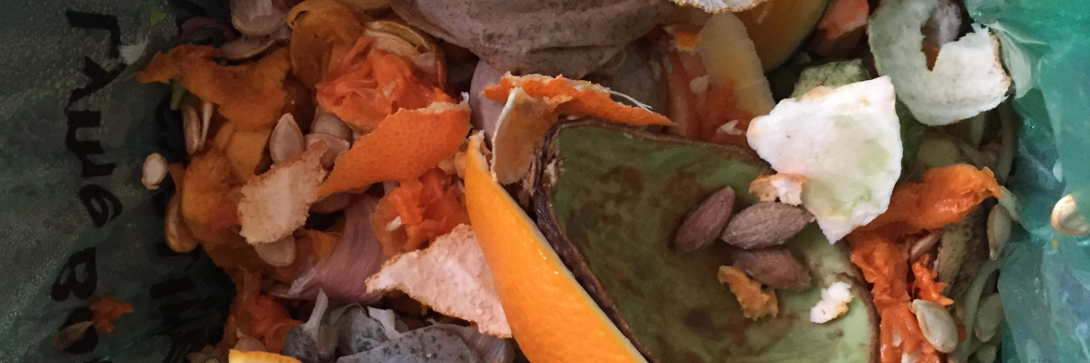 FoodFuturesKeele banner