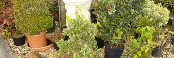 UseYourGarden Profile Banner