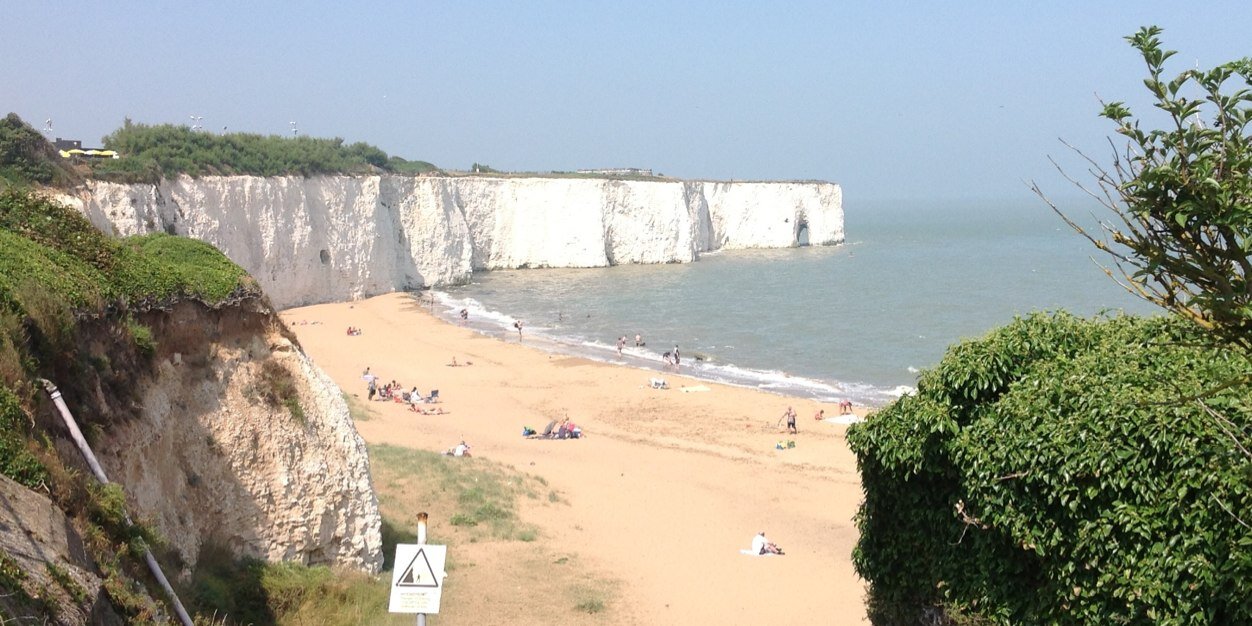 Kerry Albright banner