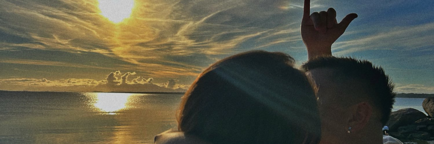 ungerboriss's profile banner image