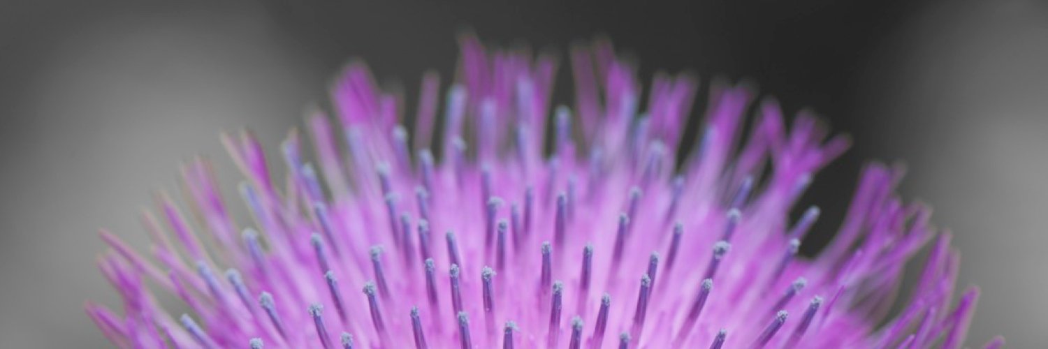 crc128's profile banner image