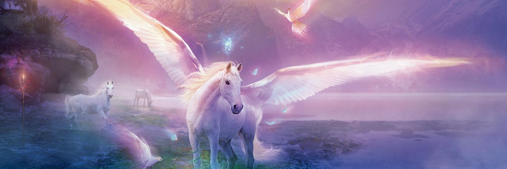 angelala_fcn's profile banner image