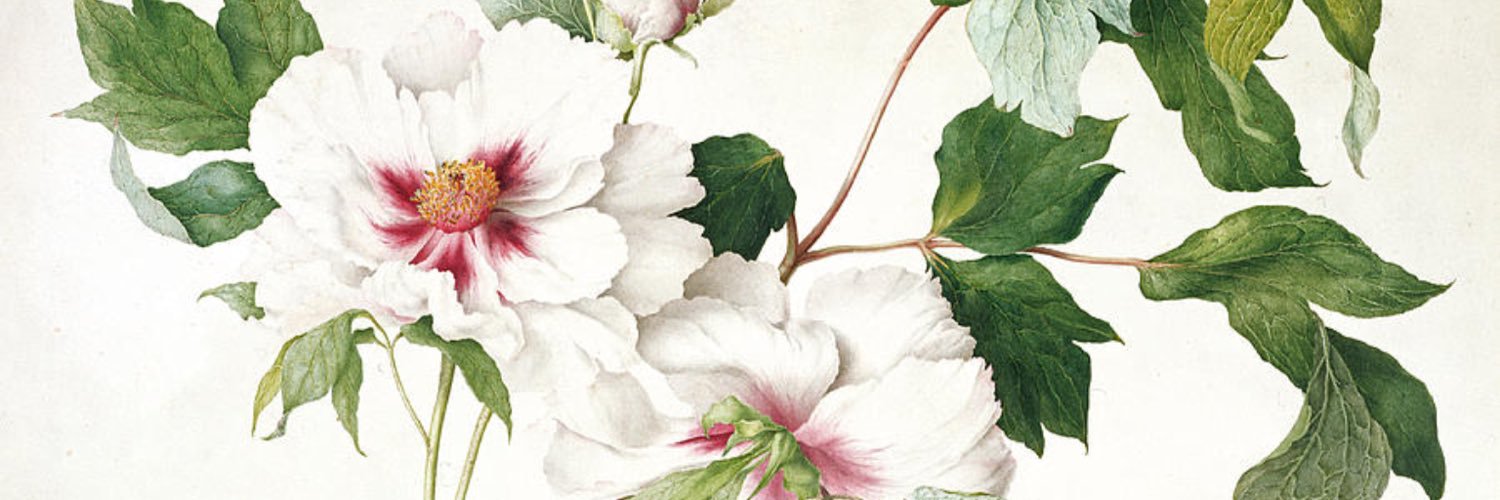 marg_anni's profile banner image