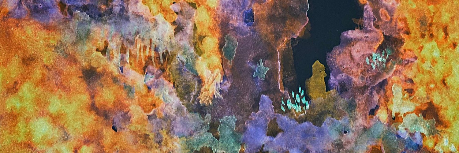 Leo banner