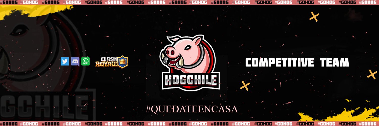 HogChile™ banner