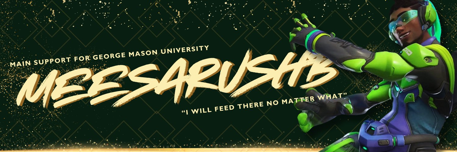 meesarushb's banner
