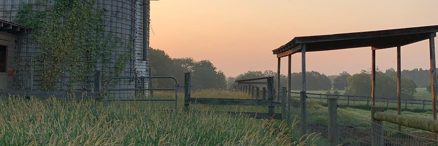caschalk's profile banner image