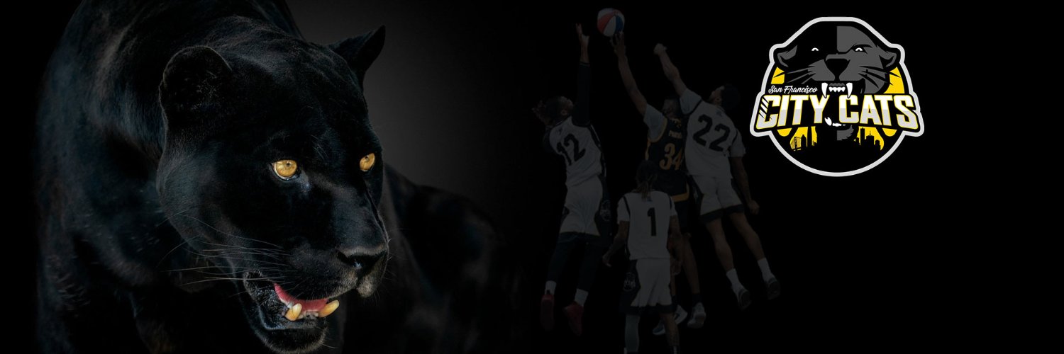 SFCityCats banner