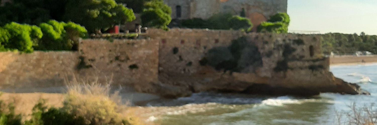 Neus banner
