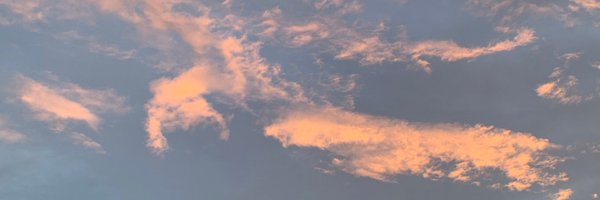 pablidopsis Profile Banner