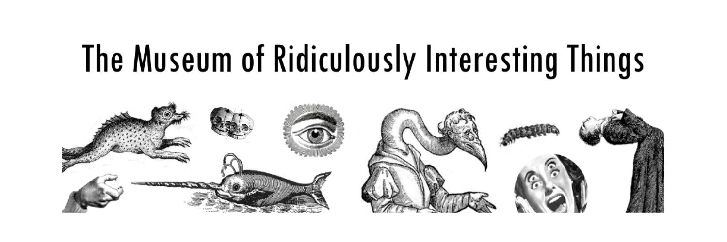 Dr Chelsea Nichols banner