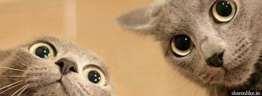 MaraFloress_'s profile banner image