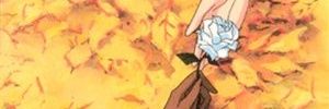 DragonFly_IX's profile banner image