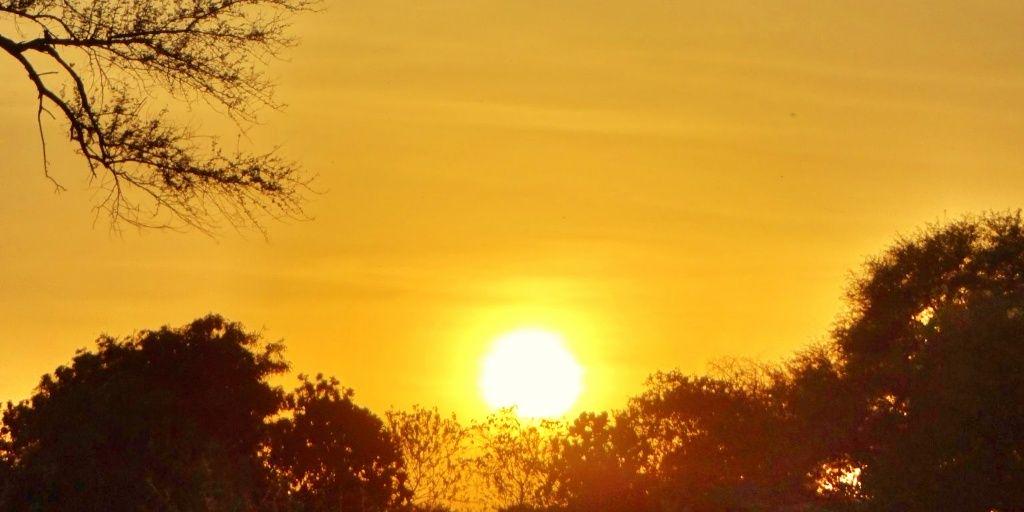 RajputMSingh's profile banner image