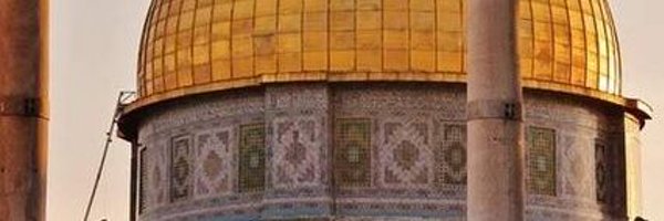 ahmedyehia___ Profile Banner