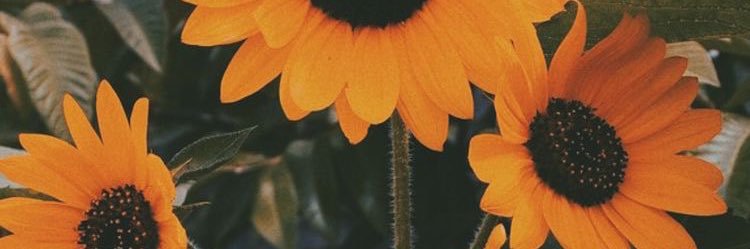 indhiiraa's profile banner image
