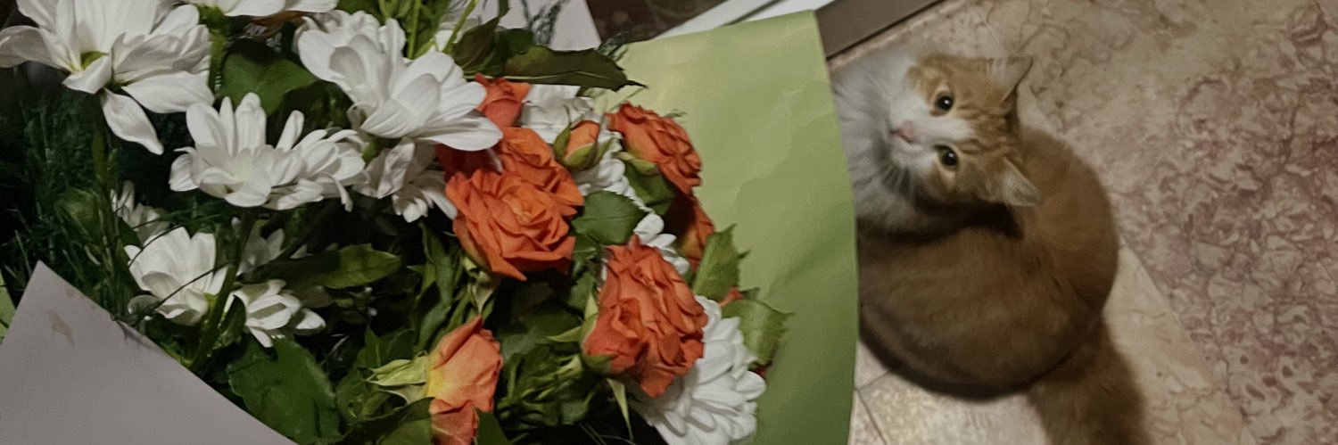 benmuteferric's profile banner image