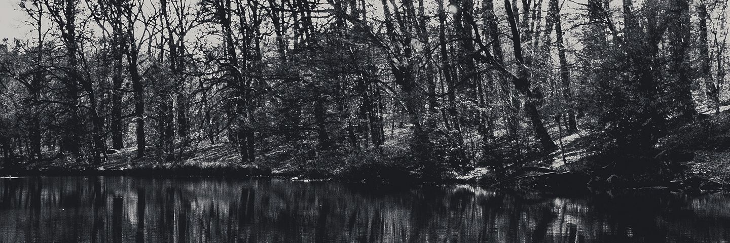alexcl45's profile banner image