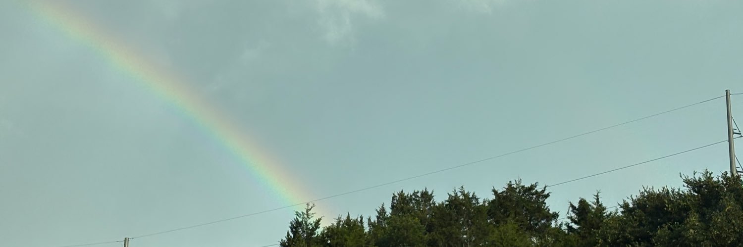 lexi_chambless's profile banner image