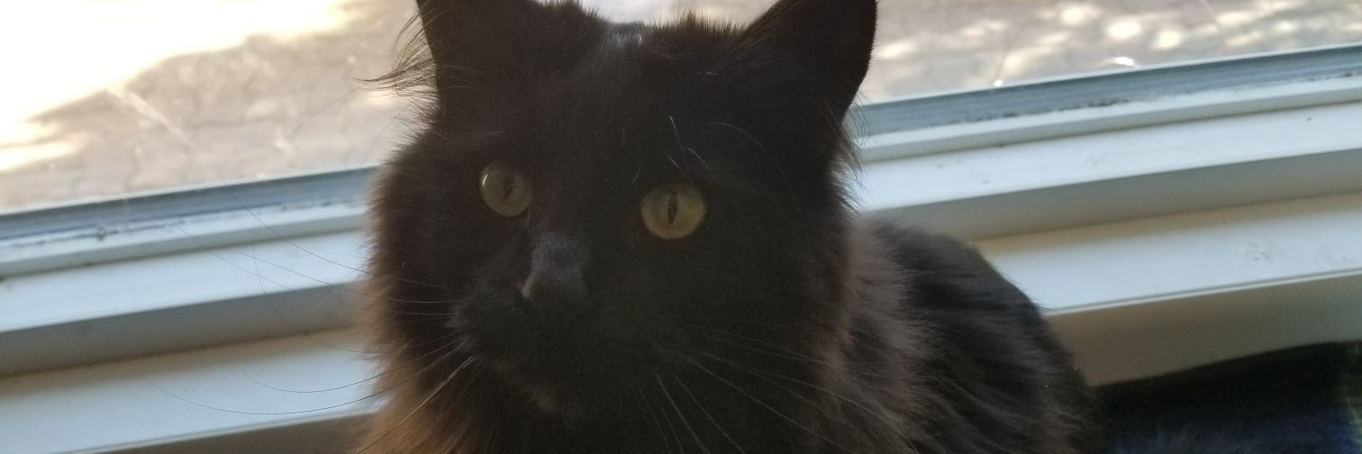 Egg_Xander's profile banner image