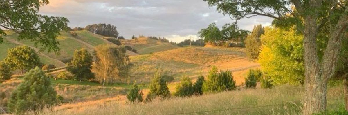 mary isadora the victorian child ⚝ banner