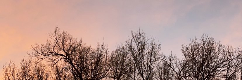KTschultz4's profile banner image