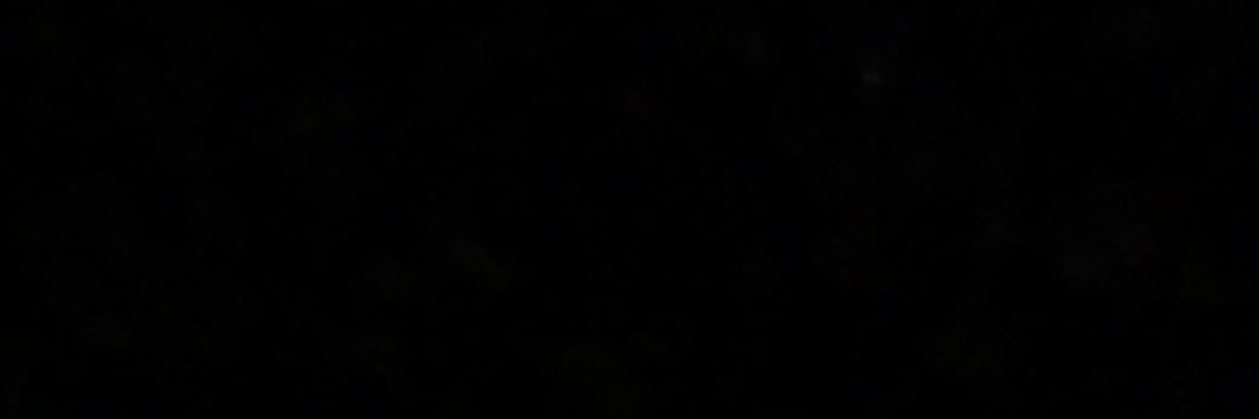 Tom The Bomber1 banner