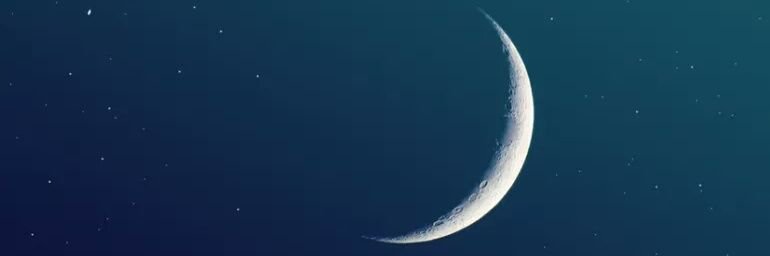 LauParanoid's profile banner image