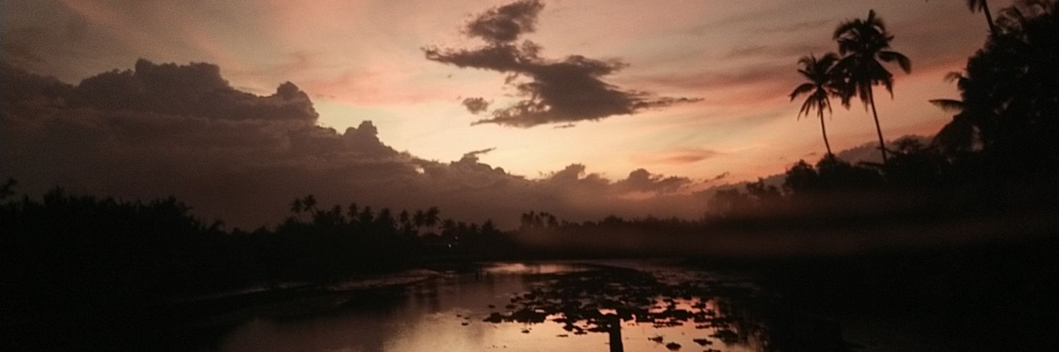 Lolnopw's profile banner image
