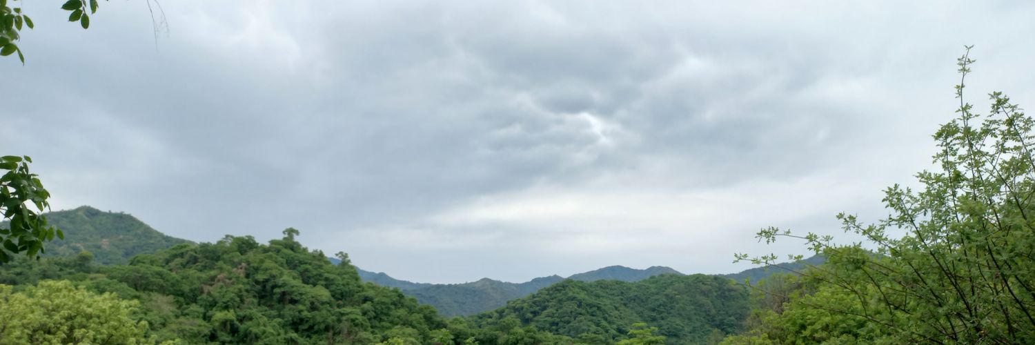 Ricardo Altamar banner