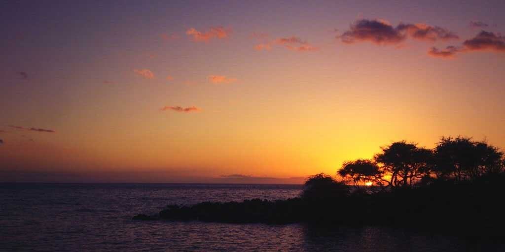 ピーマン仮面@B・P banner