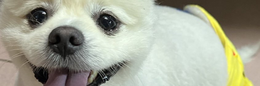 cupopxx's profile banner image