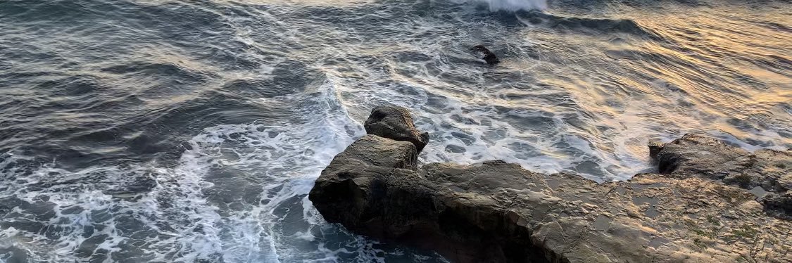 シャラ ≋5/6西2 ニ37ab🎾 banner