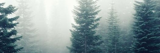 LonerND's profile banner image